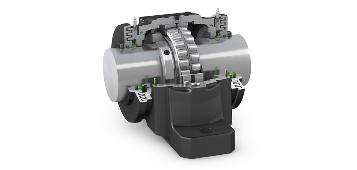 Illustration of the general rotor bearing seal category