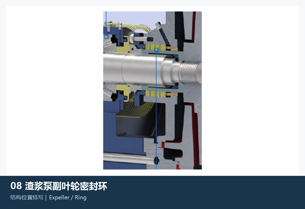 渣浆泵副叶轮和副叶轮环通用位置识别图