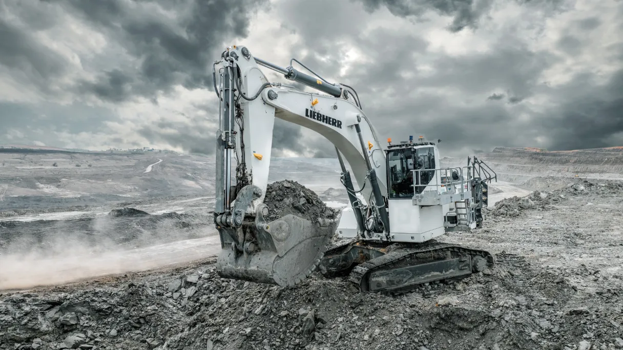 Excavadora hidráulica minera R Mining