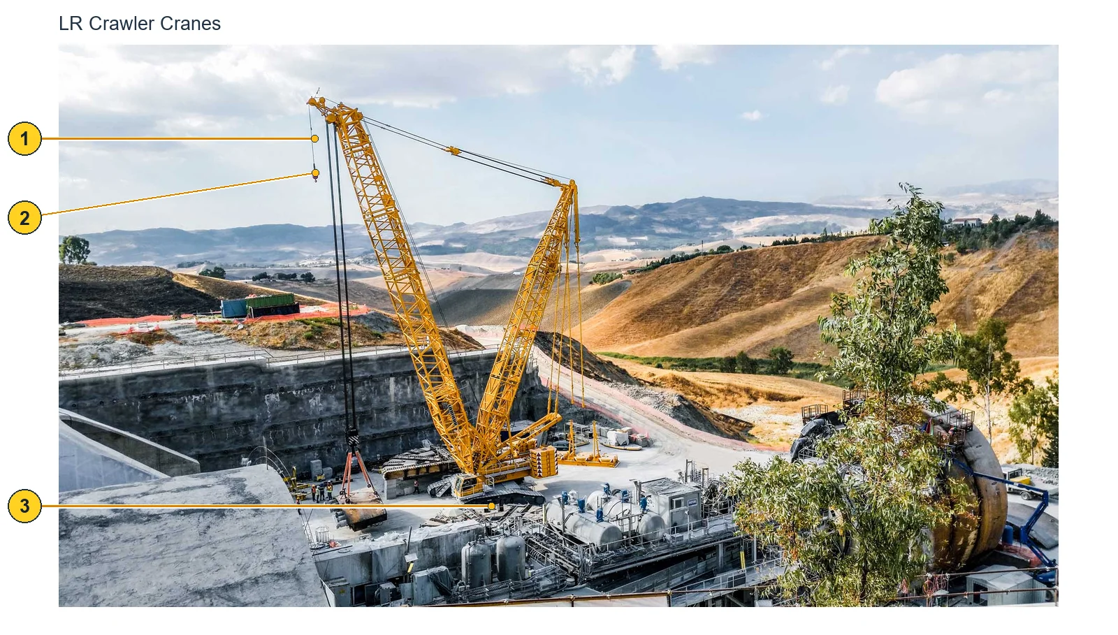 Liebherr LR (2)
