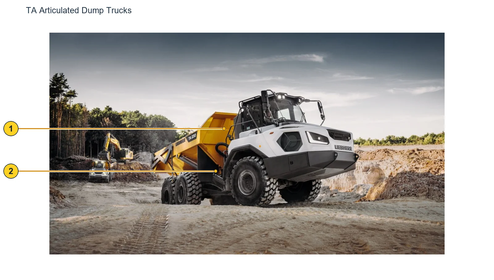 Liebherr TA 230 (2)