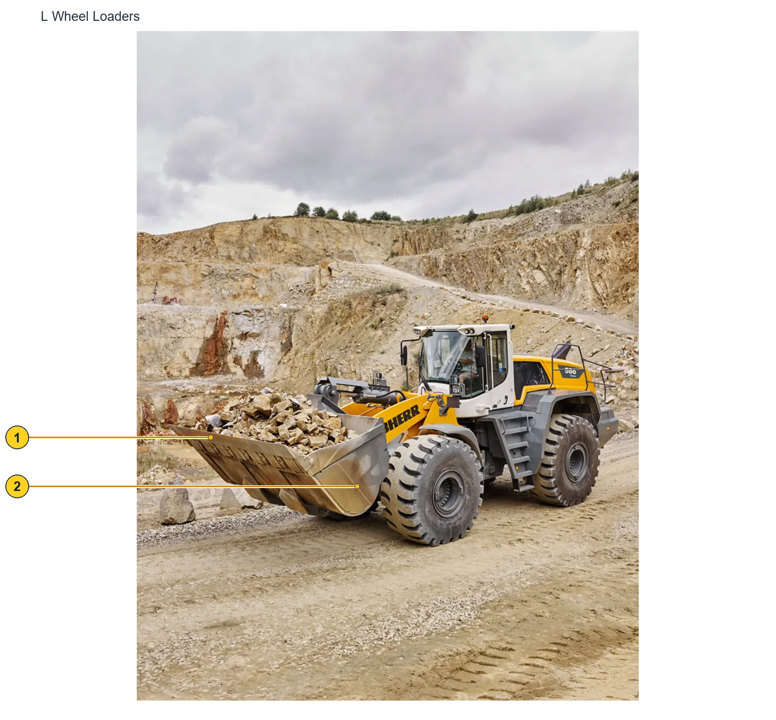 Liebherr L (2)
