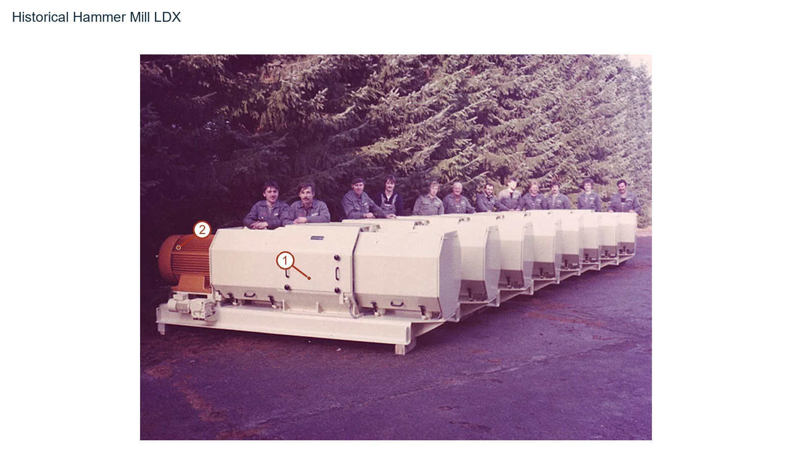 LDX