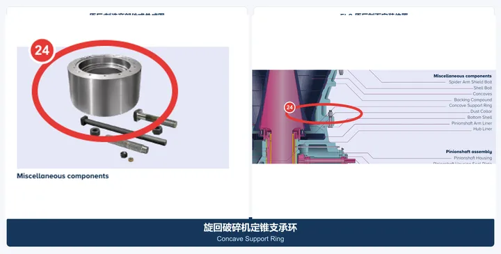 定锥支承环