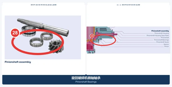 小齿轮轴轴承