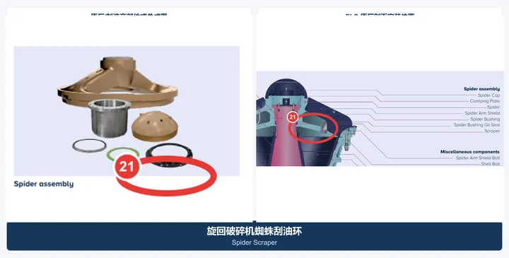 蜘蛛刮油环